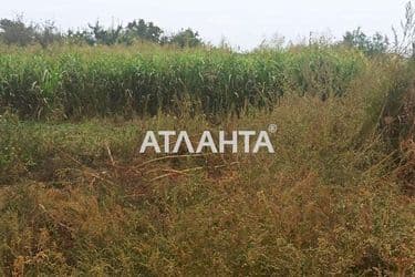 Landplot by the address (area 10,0 acr) - Atlanta.ua - photo 8