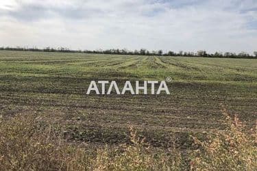 Landplot by the address (area 158 acr) - Atlanta.ua - photo 7