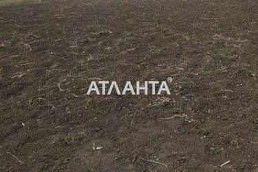 Landplot by the address (area 50 acr) - Atlanta.ua - photo 3