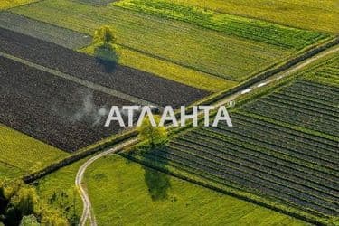 Участок по адресу (площадь 81 сот) - Atlanta.ua - фото 5
