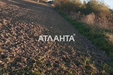 Landplot by the address (area 16 acr) - Atlanta.ua - photo 6