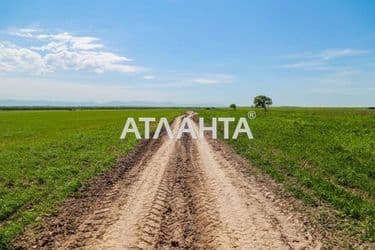 Landplot by the address (area 25 acr) - Atlanta.ua - photo 4