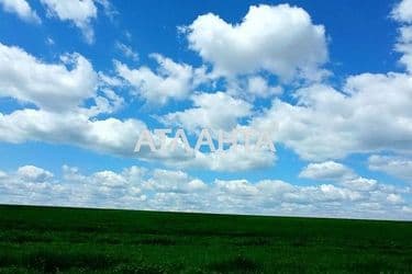 Landplot by the address st. Massiv 9 (area 166 acr) - Atlanta.ua - photo 4