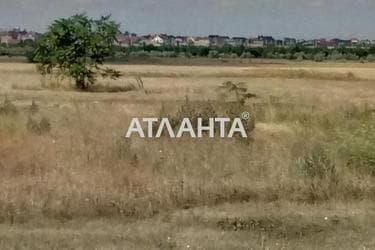 Landplot by the address (area 10 acr) - Atlanta.ua - photo 4