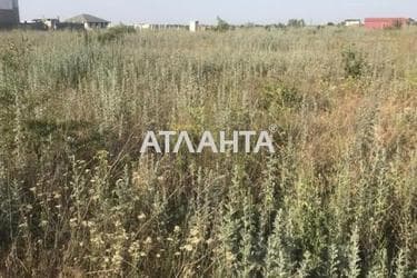 Landplot by the address (area 10 acr) - Atlanta.ua - photo 5