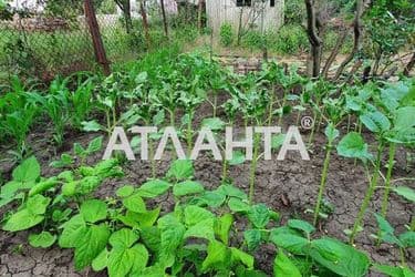 Будинок (площа 64 м²) - Atlanta.ua - фото 29