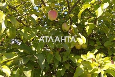 Дом по адресу ул. Винявского (площадь 180 м²) - Atlanta.ua - фото 11