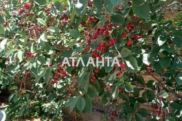 Дом по адресу ул. Франко Ивана (площадь 130 м²) - Atlanta.ua - фото 23