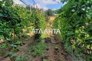 House by the address (area 170 m²) - Atlanta.ua - photo 52