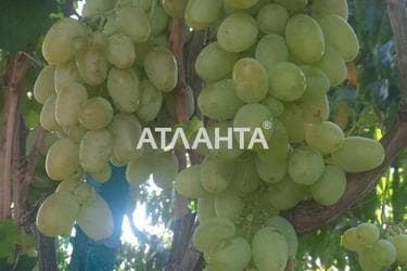 House by the address (area 139,5 m²) - Atlanta.ua - photo 34