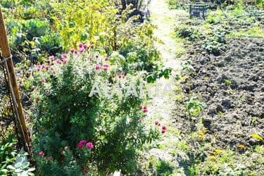 Landplot by the address st. Zhovtneva (area 4,6 acr) - Atlanta.ua - photo 27