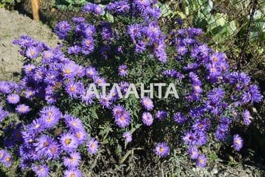 Landplot by the address st. Zhovtneva (area 4,6 acr) - Atlanta.ua - photo 29