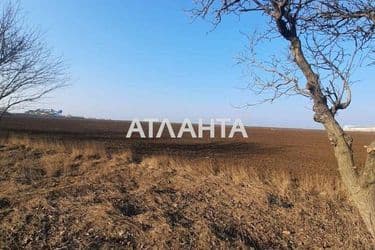 Landplot by the address st. Massiv 1 (area 91,3 acr) - Atlanta.ua - photo 10