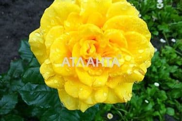 Ділянка за адресою Червона зоря пров. (площа 12 сот) - Atlanta.ua - фото 4