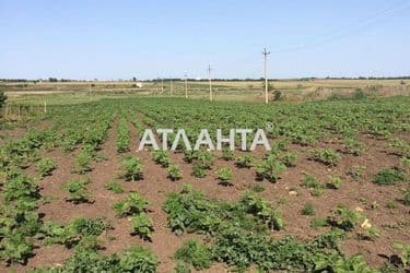 Участок по адресу Ясный пер. (площадь 6 сот) - Atlanta.ua - фото 4
