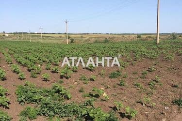 Участок по адресу Ясный пер. (площадь 6 сот) - Atlanta.ua - фото 5