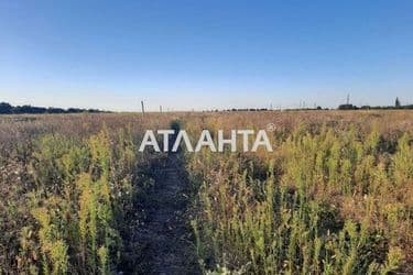 Landplot by the address st. Vesennyaya (area 6,8 acr) - Atlanta.ua - photo 5