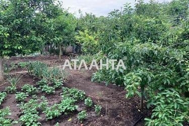 Дача (площа 40 м²) - Atlanta.ua - фото 34