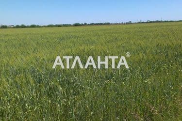 Landplot by the address (area 6,8 acr) - Atlanta.ua - photo 4