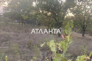 Участок по адресу ул. Цветочная (площадь 6 сот) - Atlanta.ua - фото 10