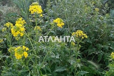 Участок по адресу ул. Славянская (площадь 11,5 сот) - Atlanta.ua - фото 5