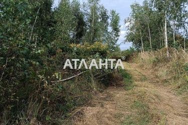 Участок по адресу (площадь 8 сот) - Atlanta.ua - фото 16