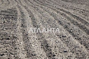 Landplot by the address (area 2150 acr) - Atlanta.ua - photo 4