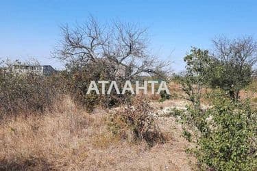 Landplot by the address (area 12 acr) - Atlanta.ua - photo 12