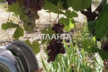 Дом по адресу ул. Королева (площадь 35 м²) - Atlanta.ua - фото 31