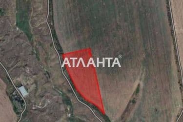 Landplot by the address (area 52432 acr) - Atlanta.ua - photo 3