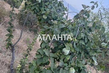 Дача по адресу ул. Вишневая (площадь 40 м²) - Atlanta.ua - фото 30