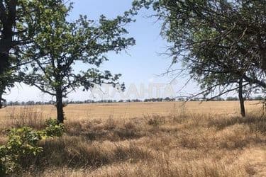 Landplot by the address (area 430 acr) - Atlanta.ua - photo 6