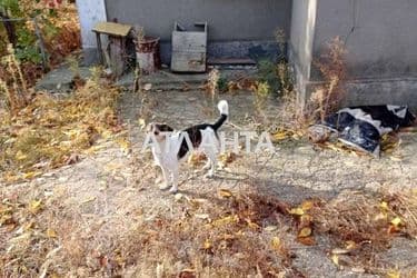 Дом по адресу ул. Промышленная (площадь 39 м²) - Atlanta.ua - фото 24