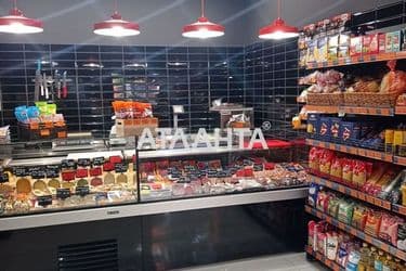 Commercial real estate at st. Dvoryanskaya Petra Velikogo (area 68 m²) - Atlanta.ua - photo 8