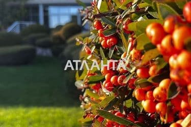 House by the address st. Fontanskaya dor Perekopskoy Divizii (area 629,7 m²) - Atlanta.ua - photo 36