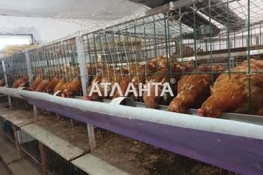 Дом по адресу ул. Шевченко (площадь 260 м²) - Atlanta.ua - фото 12