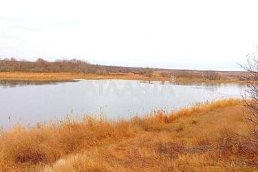 Landplot by the address st. Shevchenko (area 17,5 acr) - Atlanta.ua - photo 14