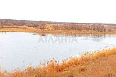 Landplot by the address st. Shevchenko (area 17,5 acr) - Atlanta.ua - photo 15