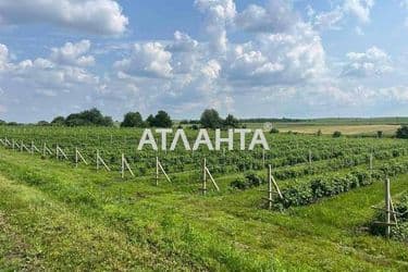 Commercial real estate at st. Shevchenko (area 1000 m²) - Atlanta.ua - photo 21