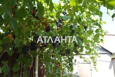 Будинок (площа 71 м²) - Atlanta.ua - фото 27