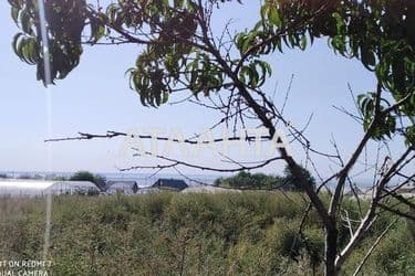 Landplot by the address st. Novoselov (area 29 acr) - Atlanta.ua - photo 11