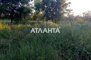 Landplot by the address (area 12,0 acr) - Atlanta.ua - photo 6