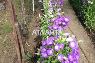 Дача по адресу ул. Вишневая (площадь 55 м²) - Atlanta.ua - фото 18