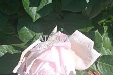 House (area 88 m²) - Atlanta.ua - photo 35