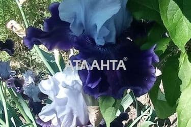 House (area 88 m²) - Atlanta.ua - photo 39