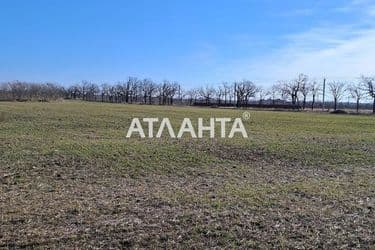 Landplot by the address (area 7,2 acr) - Atlanta.ua - photo 8