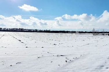 Ділянка за адресою (площа 10 сот) - Atlanta.ua - фото 8