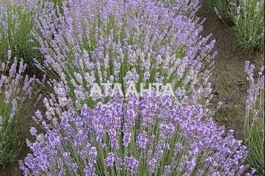 Участок по адресу ул. Массив №9 (площадь 177 сот) - Atlanta.ua - фото 6