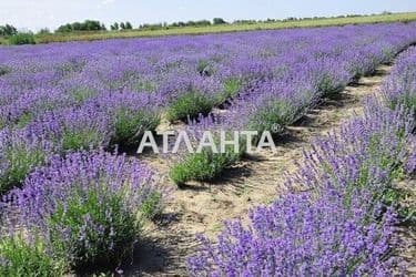 Участок по адресу ул. Массив №9 (площадь 177 сот) - Atlanta.ua - фото 5