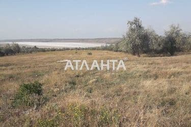 Landplot by the address st. Magistralnaya (area 25 acr) - Atlanta.ua - photo 8